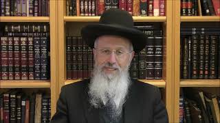 הגאון הרב אברהם יוסף שליט"א האם מותר לטלטל סתם כלי שמלאכתו להיתר בשבת