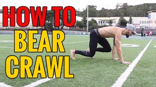 How to Crawl - Beginners Guide to Crawling
