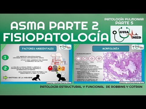 ASMA BRONQUIAL SÍNTOMAS | GuiaMed