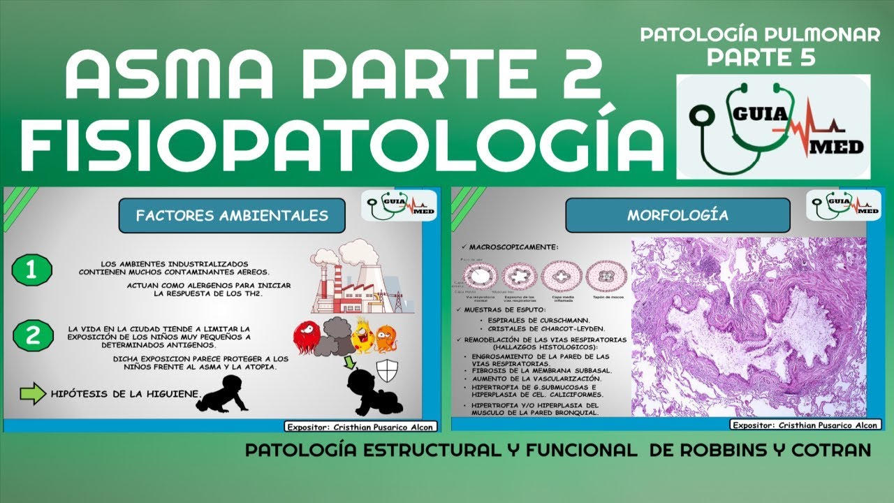 ASMA BRONQUIAL SÍNTOMAS | GuiaMed