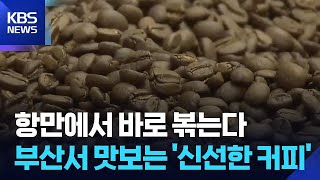 항만에서 커피 볶고, 수출까지…규제 풀릴까? / KBS  2026.04.19.