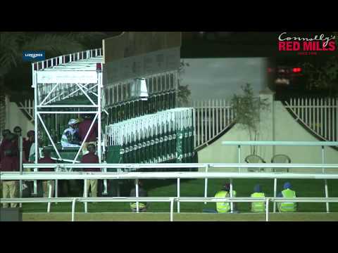 29th Race Meeting   HH The Amir Festival Al Zubara Trophy   7