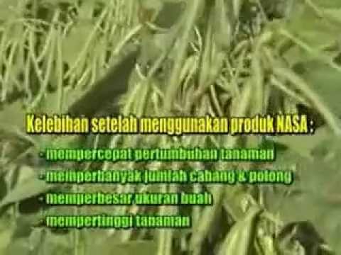 Bad India untuk potensi Kontraindikasi menjatuhkan palu Thor