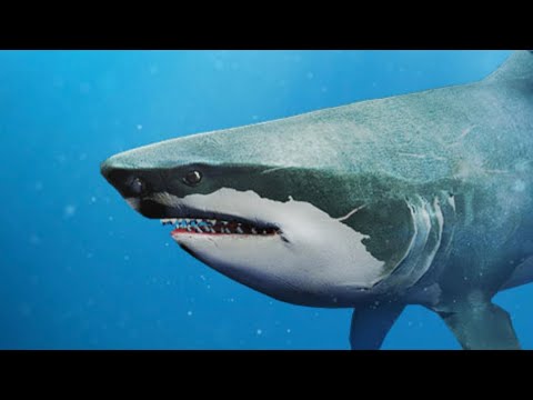Jurassic World The Game | ep 803 | P1 | Shark Week !!!