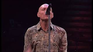 Midnight Oil - Read About It (Sound Relief / 2009)