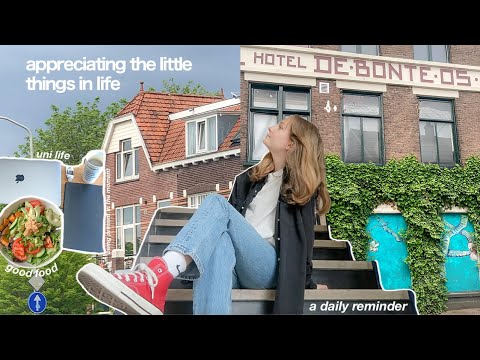 appreciating the little things in life (a few days, studying, uni, internship)