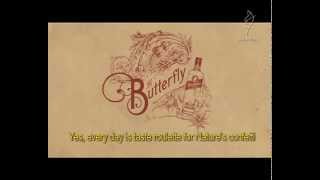 Butterfly - Silver Radio Adfest 2013