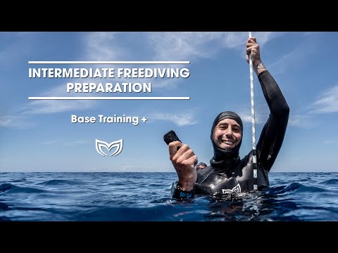 Master your Basic Freediving Skills with this Program | Molchanovs Freediving