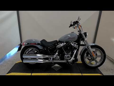 2024 Harley-Davidson Softail Standard Cruiser FXST