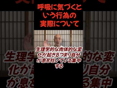 仏教学科 呼吸に気づくという行為に実際について#切り抜き＃回復#仏教＃瞑想＃マインドフルネス＃ヨガ＃健康