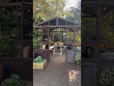 Our Thanksgiving on the coast. I’m a happy Mama! #thanksgiving #california #turkeyday #familytime