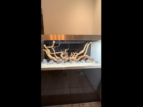 Oase Highline 300 einrichten - Technik & Hardscape