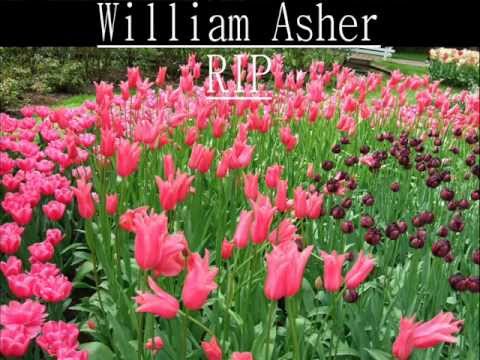 William (Bill) Asher is dead ('I Love Lucy' & 'Our Miss Brooks' - writer) A tribute