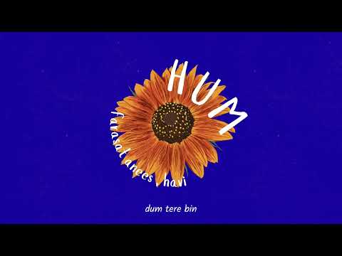 Farasat Anees and HAVI