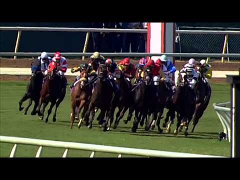 Gold Cup at Santa Anita: Little Red Feather in to Win