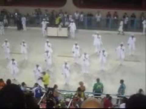 COMISSÃO DE FRENTE CAPRICHOSOS DE PILARES CARNAVAL 2010