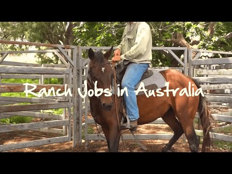Ranch Jobs in Australia Video