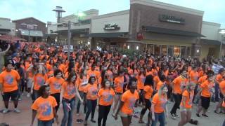 CFISD PALS Flash Mob to Fight Poverty