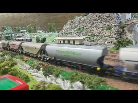 Probna vožnja "Transcereales"20190109 dstanicic