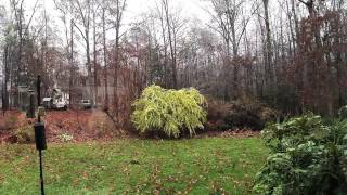 preview picture of video 'Icestorm Timelapse Midlothian VA 12-08-2013'