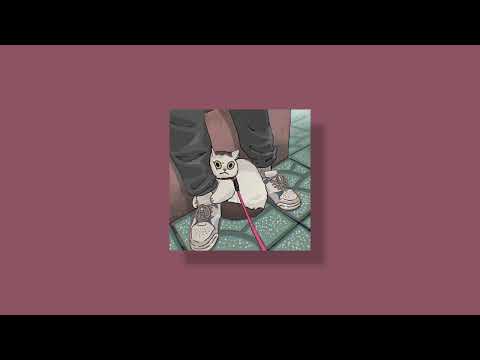 🎧Muñekita  - El Alfa, JT,  Kali Uchis •  Sped Up 🎧