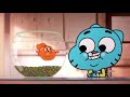 Darwin And Gumball Are Fish Out Of Water