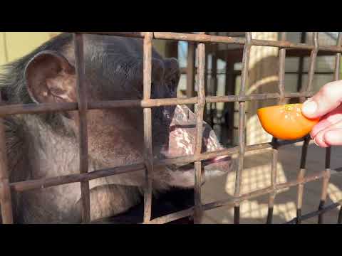 Breakfast with Neggie and Friends