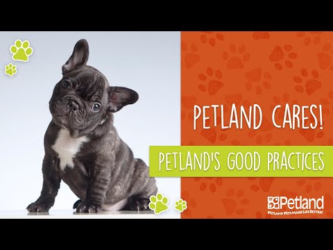 Petland’s Good Practices