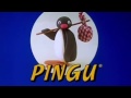 Pingu Pingu S Birthday