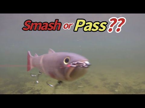 GLIDE BAIT REVIEW OF THE DEPS SLIDE SWIMMER 175 GLIDE BAIT