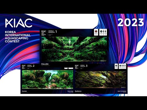 Lets Talk About KIAC 2023 Results - Korea International Aquascaping Contest 2023