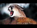 Explore the Wildlife Kingdom | Cougar: Ghost of The Rockies | Full Movie | Grant Goodeve