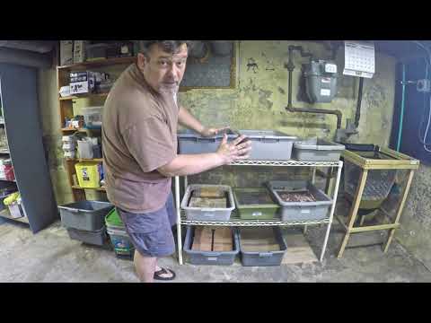 Preparing last of my tubs with finished compost for emptying - worm farm vermicomposting