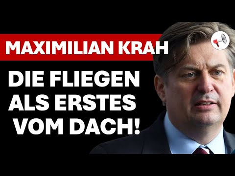 Dr. Maximilian Krah: AfD ban, constitutional judges, Fritze Merz and the state of the republic