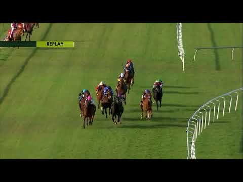 Tampa Bay Downs Live Stream