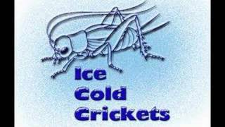 Ice Cold Crickets Opaque (thrice cover)