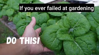 Beat Inflation, Easiest Way To Grow Food