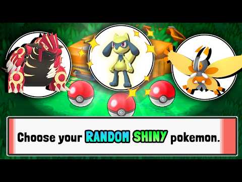 I attempted a Shiny only Randomized Nuzlocke of Omega Ruby