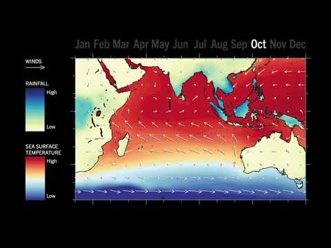 “Indian Ocean Current”: The Asian Monsoon