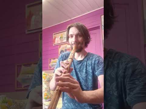 Quenacho C key ashwood - flute for sale