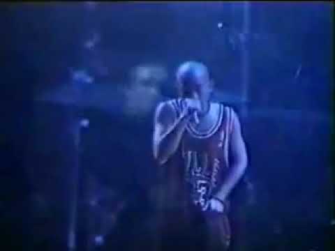 Greyhoundz - Party at 802 (live)