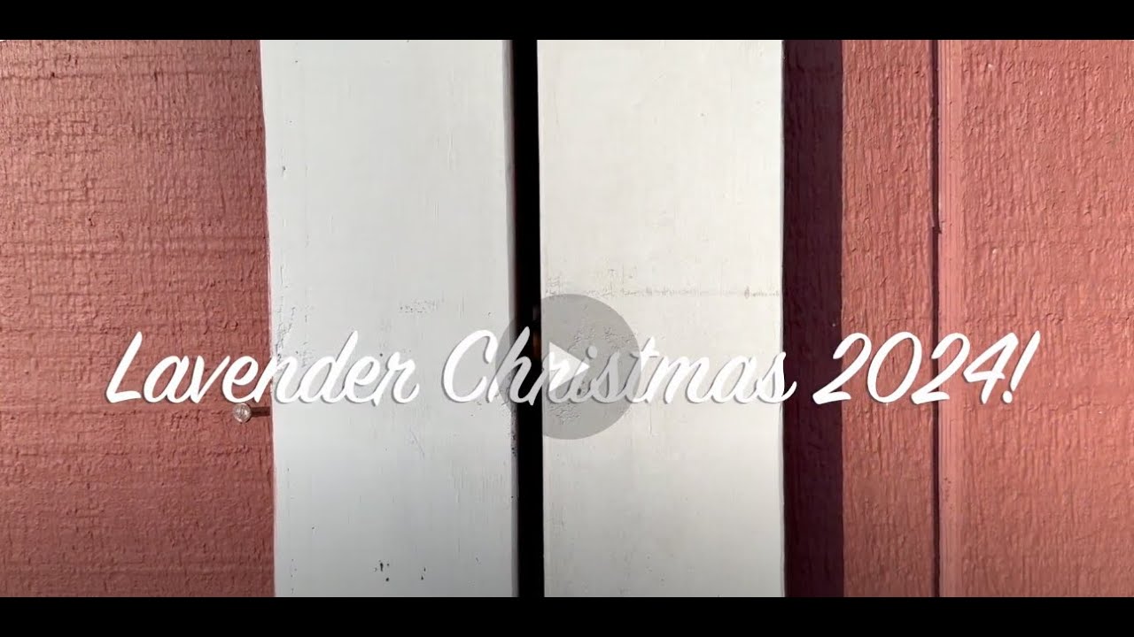 It’s a Lavender Christmas 2024