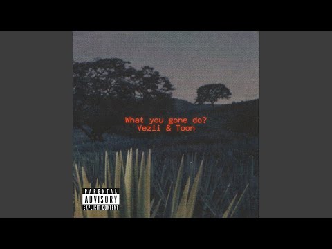 What you gone do? (feat. Toon)