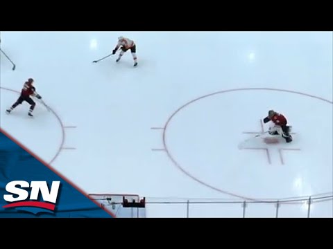 Patrick Brown Scores On Open Net After Brutal Giveaway By Karel Vejmelka