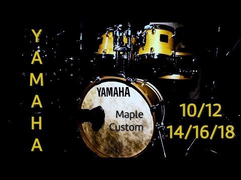 Yamaha Maple Custom (GOLD LUGS!) | Remo Coated Ambassadors | 18/10/12/14/16