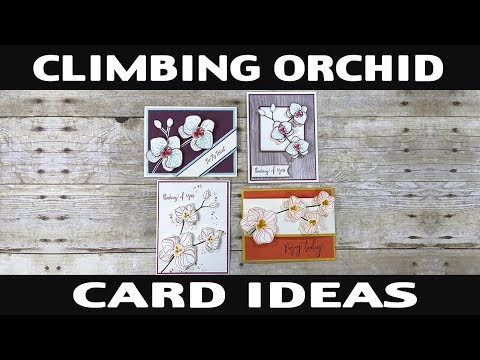 Stamping Jill - Climbing Orchid Card Ideas