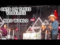 Cats On Trees et Yodélice - Mad World 