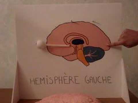 comment construire une hypothèse