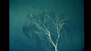 Tara Jane O’Neil: The Lull the Going - Super 8