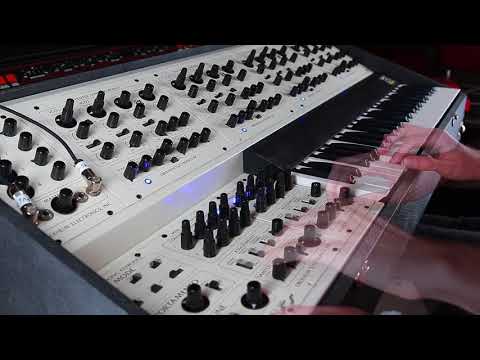 Oberheim Four Voice - Rosen Sound Demo